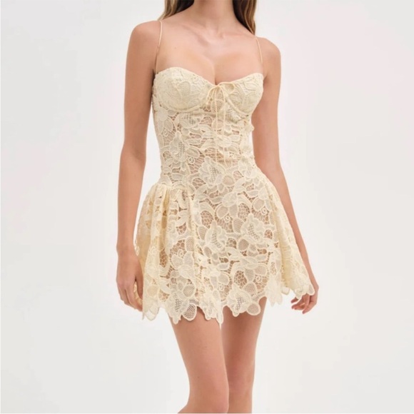 For Love & Lemons Coco Lace Mini Dress - Picture 3 of 10